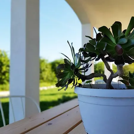 Casa Vendicari * Lido di Noto